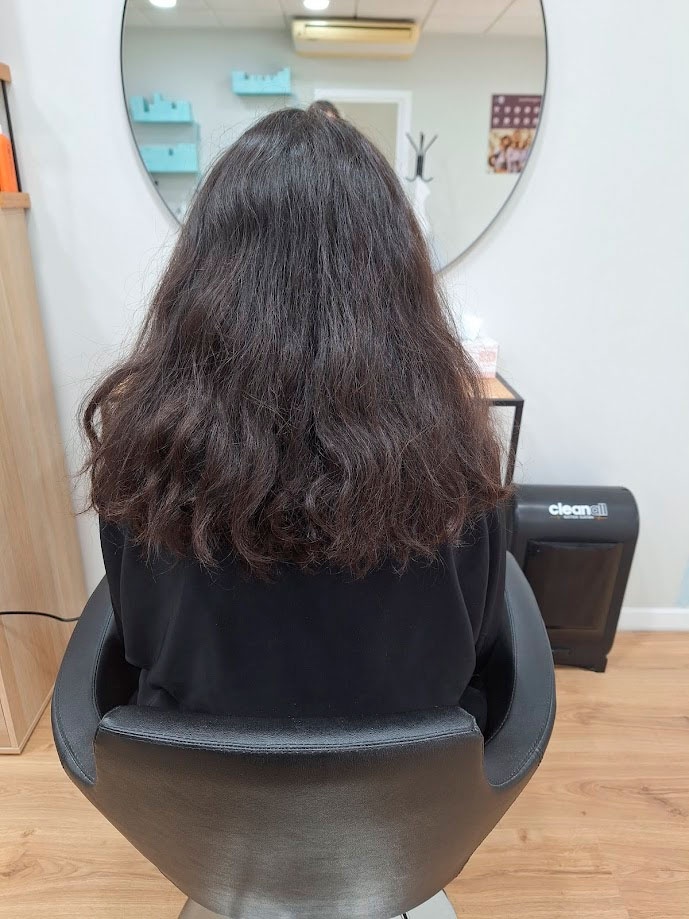 curly antes