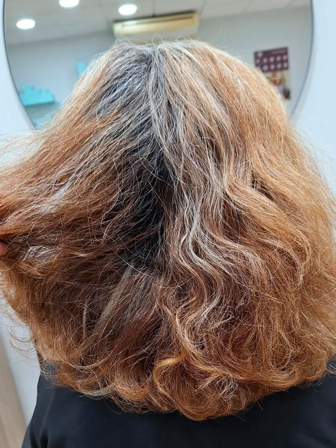 integración canas antes